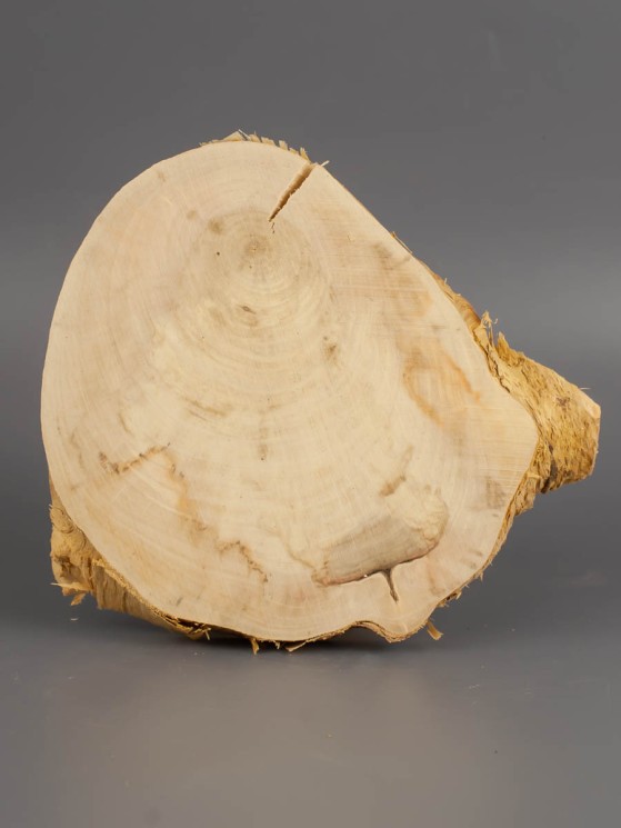 Спил дерева клён d 12-14 см ТВ-1951