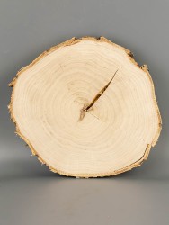 Спил дерева берёза d 20-22 см ТВ-2076