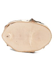 Спил дерева берёза d 11-14 см КЛ-0071
