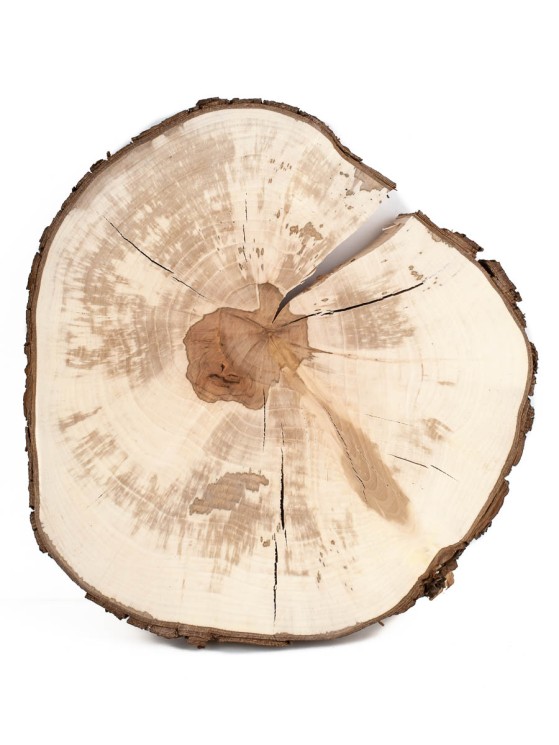 Спил дерева груша d 23-25 см ТВ-1305