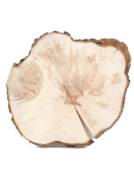 Спил дерева груша d 27-31 см ТВ-1448