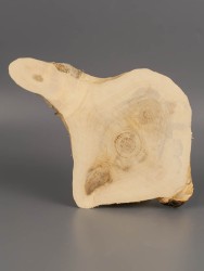 Спил дерева клён d 13-19 см ТВ-1952