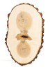Спил дерева ива d 18-30 см, толщина 18-22 мм ТВ-143