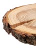 Спил дерева лиственница d 9-11 см, толщина 13-17 мм (1 шт.) ТВ-425