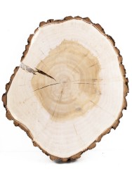 Спил дерева ива d 31-37 см, толщина 42-50 мм ТВ-335