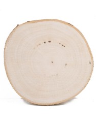 Спил дерева берёза d 16-20 см, толщина 15-21 мм ТВ-369