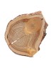 Спил дерева лиственница d 20-16 см, толщина 19-20 мм (1 шт.) ТВ-183