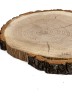 Спил дерева дуб d 16-24 см (1 шт.) ТВ-491