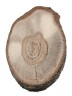 Спил дерева дуб d 5-9 см (10 шт.) ТВ-498